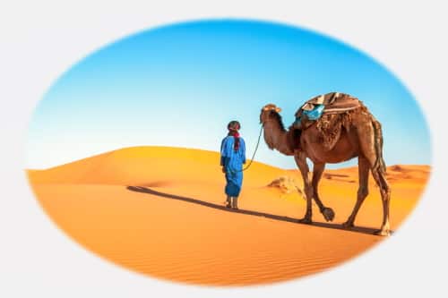man walking with camel in desert